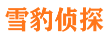 田家庵市婚姻出轨调查